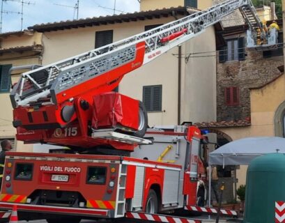 sciame d'api, vigili del fuoco